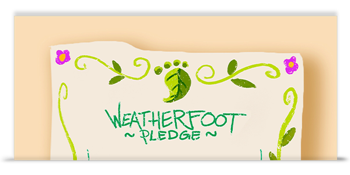 Pledge